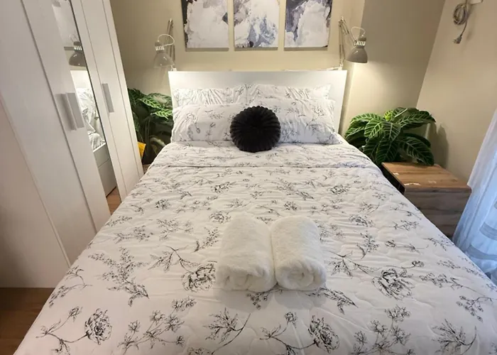 Aesthetic Cozy Modern